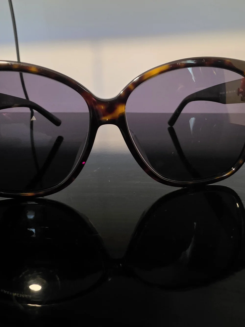 Balenciaga Black Tortoiseshell Cat-Eye Sunglasses